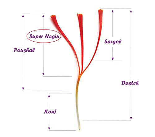 Herbay Saffron, 5gr, Premium Grade Saffron Threads for Culinary Excellence,Pure, Fresh Super-Negin Rare Long Threads, Fire-Fly Series